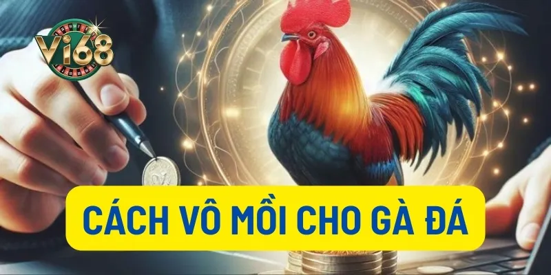 Cách vô mồi cho gà đá thumb