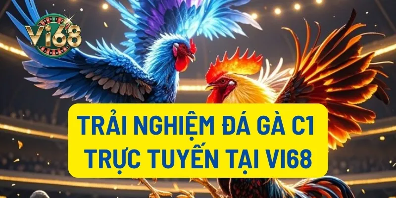 Trải nghiệm đá gà C1 trực tuyến tại Vi68