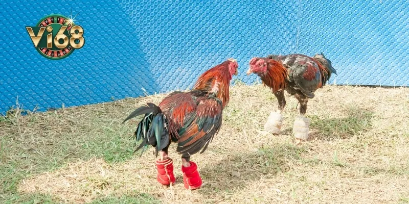 Bảo mật khi nạp/rút tiền