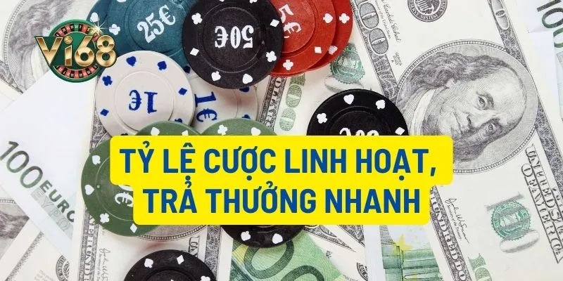 Tỷ lệ cược linh hoạt, trả thưởng nhanh