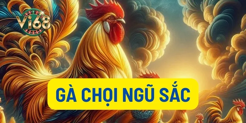Gà chọi ngũ sắc thumb