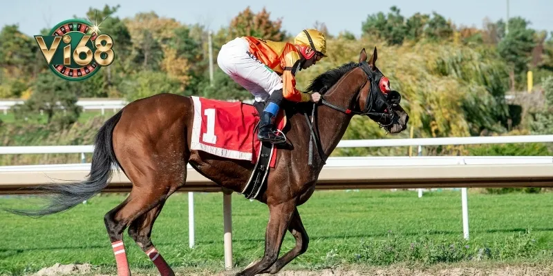 Một số thông tin về kèo rung để bạn nắm bắt