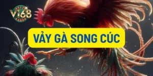 Vảy gà song cúc thumb
